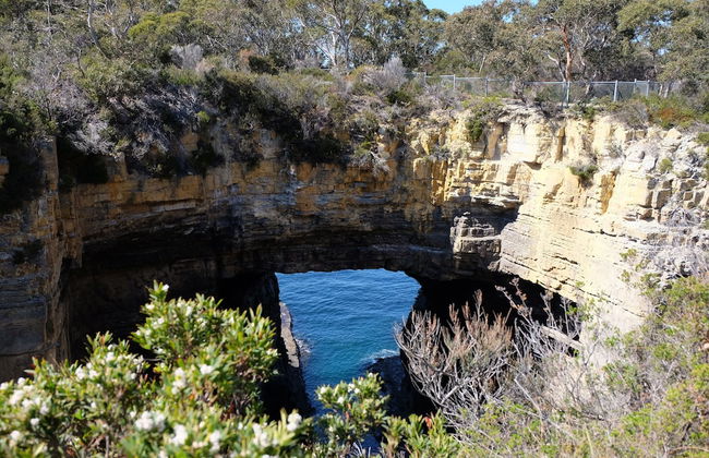 Blossoms on the Bay - 4 Bedrooms - Foto 42