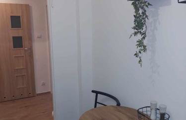Apartament Centrum przy Placu Zwycięstwa - Foto 10