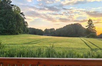 Gasthaus Zum Schneider - Foto 31