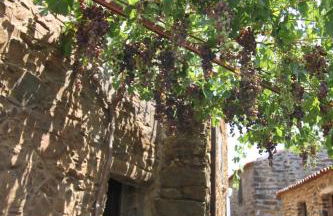 Aldeia Oliveiras - Foto 8