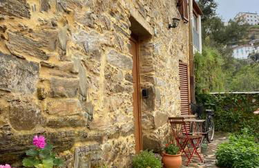 PampiHouse, casa de xisto junto ao rio - Foto 5