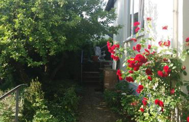 Ferienhaus Baederleiblick - Foto 18