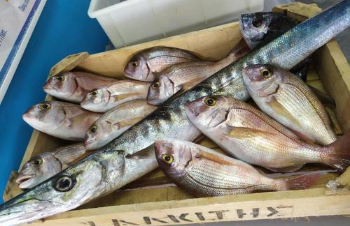 Filocsenia luxury apartment at tsoutsouras - Foto 47