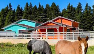 Casa de Madera - Photo 5