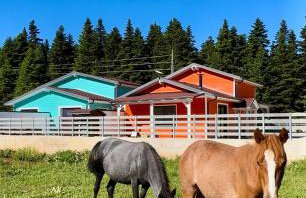 Casa de Madera - Foto 5