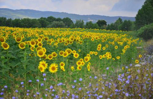 Agriturismo L'impero - Foto 19