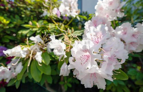 Ferienwohnung Aschoff - Foto 25