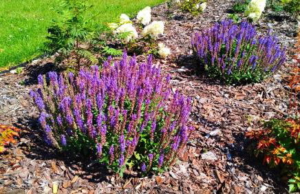 Apartament SAN Osiedle w Dolinie Sanu - Foto 30