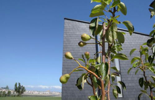 Cabanas da Barcela - Foto 27