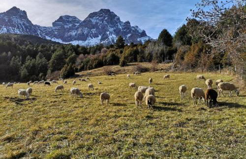 Apartamentos Casa Boira 3000 - Foto 55