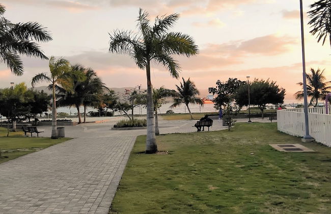 Dalley's Cozy Apartments - Foto 40