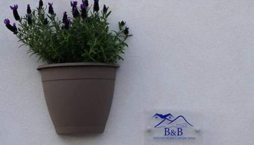 Vesuvio Home Capodichino Blu - Photo 4