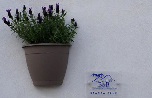 Vesuvio Home Capodichino Blu - Photo 4