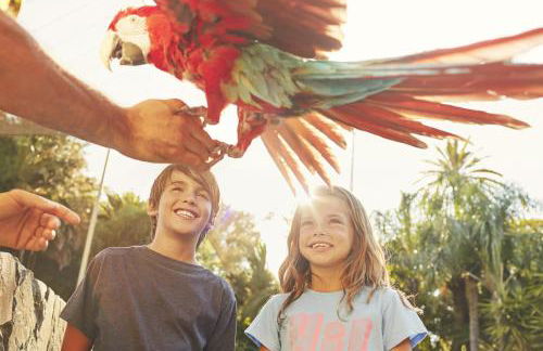 Casa Orquideas - Photo 19