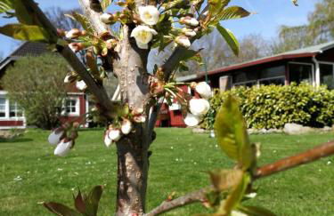 Schwedenhaus - Foto 2