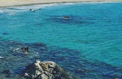 LA CASITA DEL CLOT - Foto 25