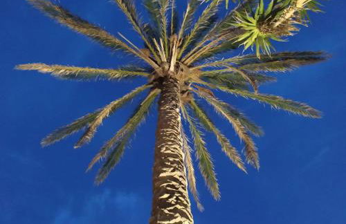 I dammusi di sottokuddia - Foto 44