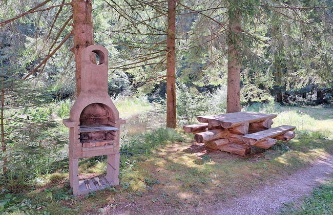 Apartment in Alsace With Nature Retreat - Foto 14