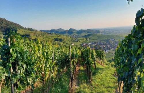 Holiday Apartment Monet in Oberrotweil - Foto 74