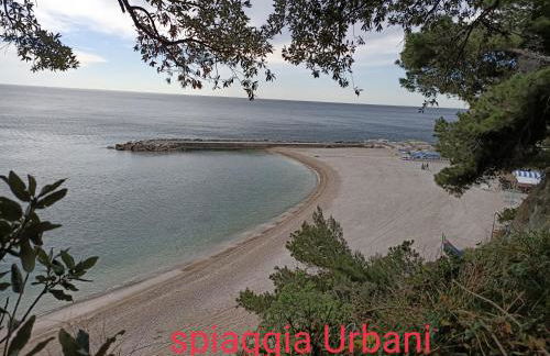 Nel blu dipinto di blu - Foto 40