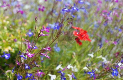 No. 2 Smith Cottages - Foto 25