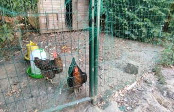 La Demeure du Figuier - Foto 22