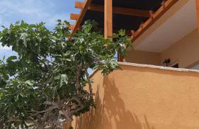 Studio apartman T and T - Photo 21