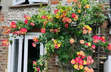 Beautiful 18th century cottage in Arundel - Foto 1