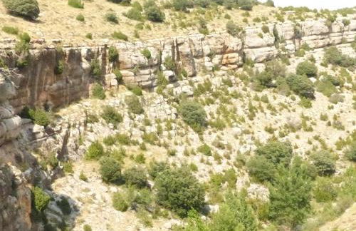 MOLINO DOLZ - Foto 71