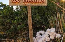 Los Rubiales - Andalusian self catering apartments with pool - Foto 23