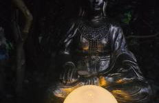 Oase am Deich - Photo 19