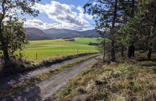 Charmantes Feriendomizil in Medebach - Foto 69