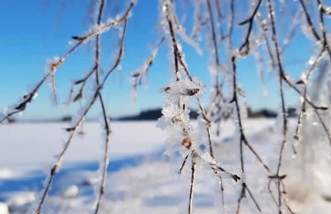 Holiday Village Anttoora - Anttooran Lomakylä - Foto 73