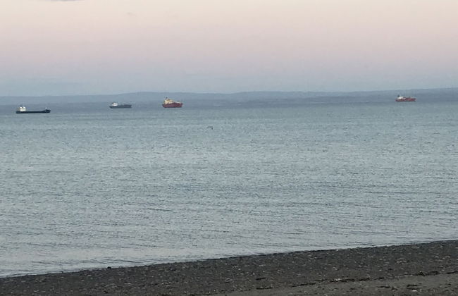 Beach Apartment - Kirkcaldy - Foto 19