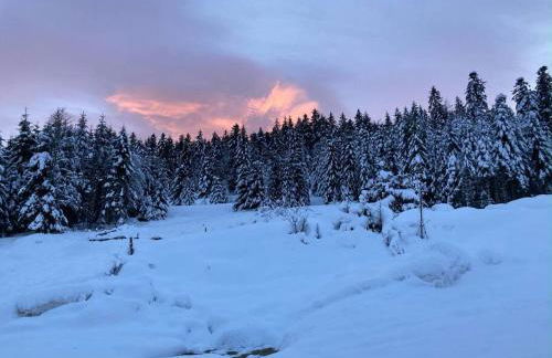 Le Perchoir du Grand Valtin - Gîte 9 personnes - Altitude 830 - Foto 35