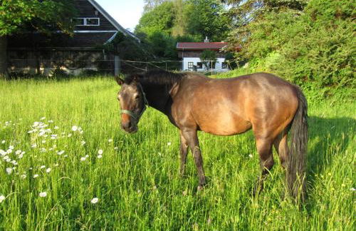 Ferienhaus Zopfhäusl - Foto 30