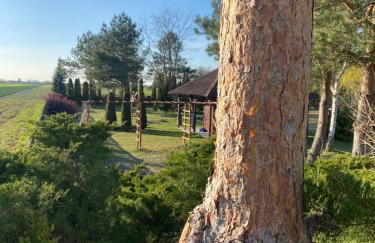 Agroturystka pod sosnami - Foto 7