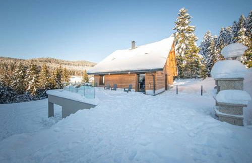 Chalet familial spacieux avec SPA, salle de jeux, près des pistes - 14 pers, Vosges - FR-1-589-366 - Foto 18