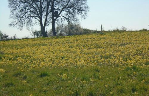 Orchard View - Foto 7