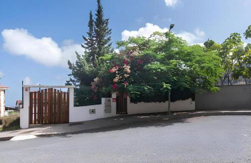 Claro de Luna - Foto 2