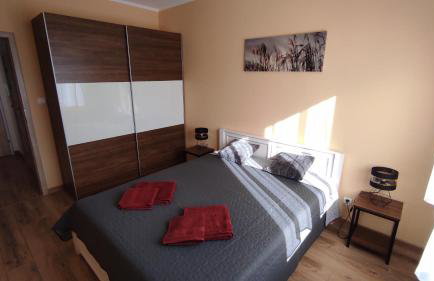 Grand Apartament nad Iławką - Foto 19