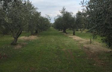 Apartment Enis - Photo 38