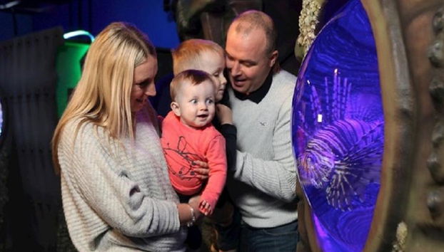 SEA LIFE - Biglietto - Foto 4