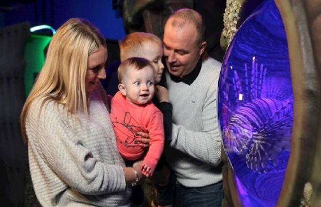 SEA LIFE - Billet - Photo 4