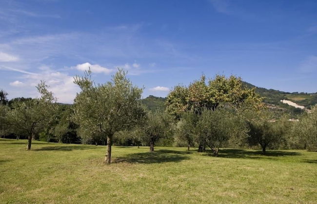 Verdidea - Ovello - Foto 33