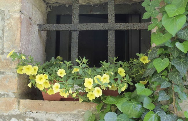 I Pianelli - Foto 70