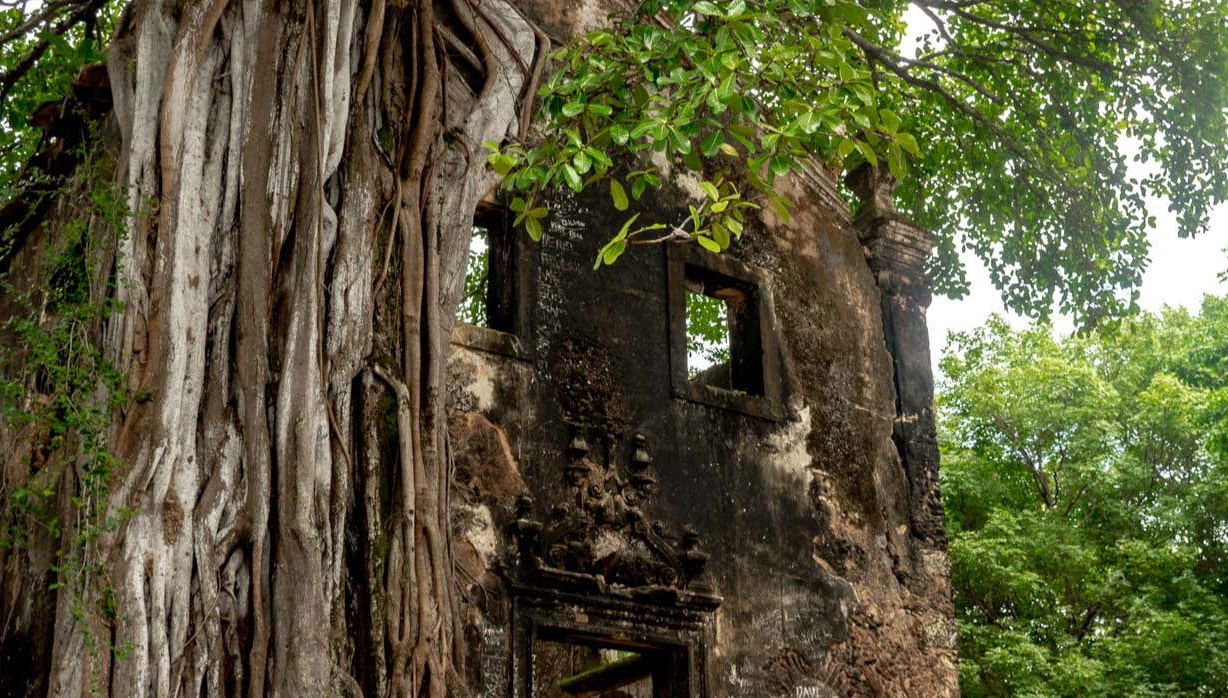 Escursione a Lucena e le scogliere di Bonsucesso