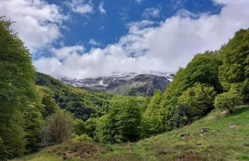 Ático LA FLOR DEL SOL - Foto 48