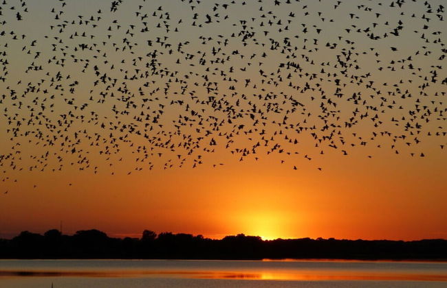 aan de Pastorie - Foto 11