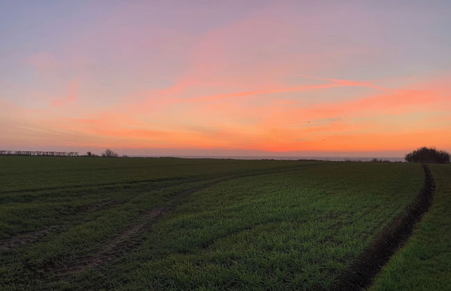 2 Houses In One I Family Friendly I Kids I Sauna I Beach I Large Garden - Foto 33